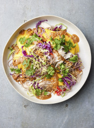Chicken and Soba Noodle Salad with Satay Dressing 