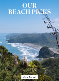 Our Beach Picks
