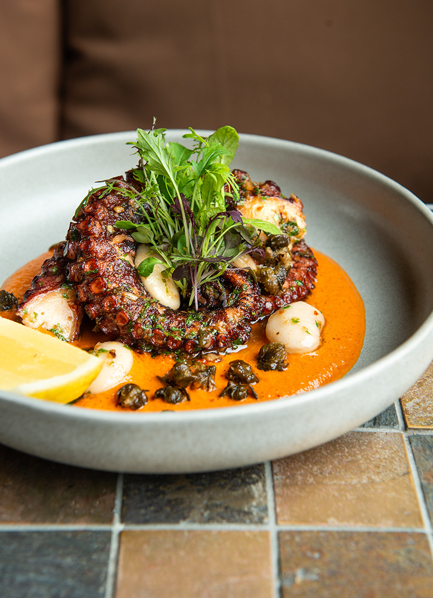 Candela, Auckland
