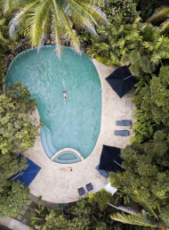 The Fiji Orchid and Its Executive Chef, Losavati