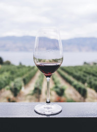 HERITAGE, HISTORY AND PEDIGREE: Winemakers steering legacy wineries into the future