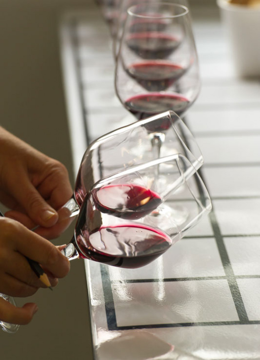 Tasting Panel - Merlot