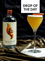 Drop of the Day – Seedlip's Grove Paddington