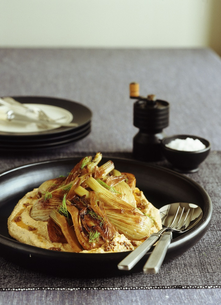 Braised Fennel with Hummus and Harissa Oil