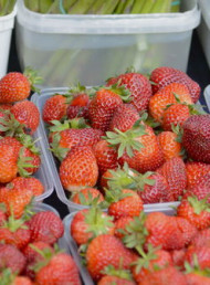 Wharekauhau Wine & Food Society Farmers Market